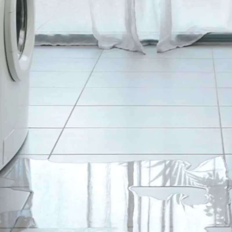 Appliance Leak Cleanup in Logan, WV