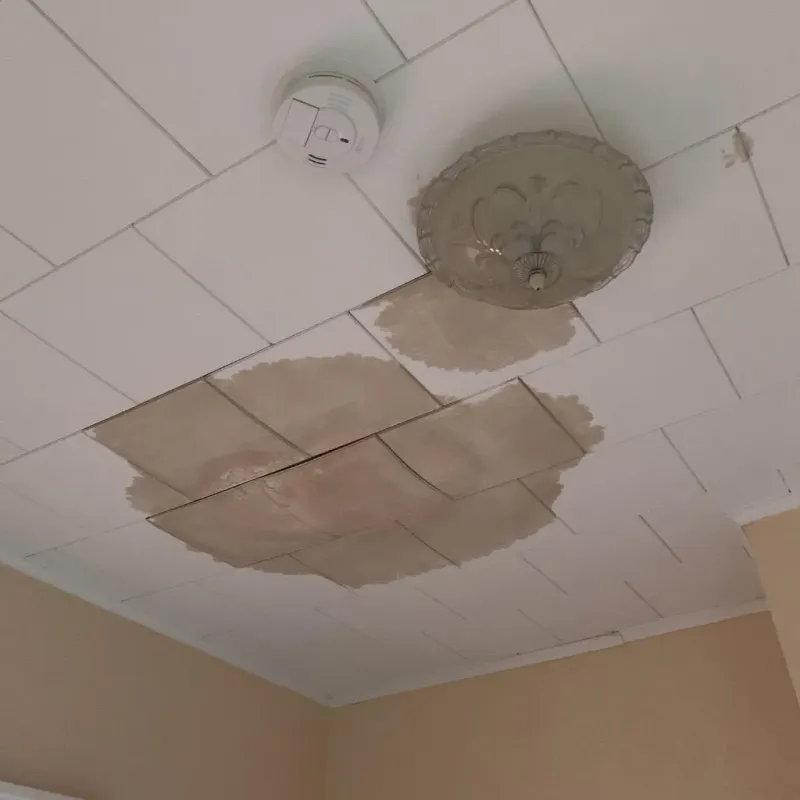 Ceiling Water Damage Repair in Logan, WV