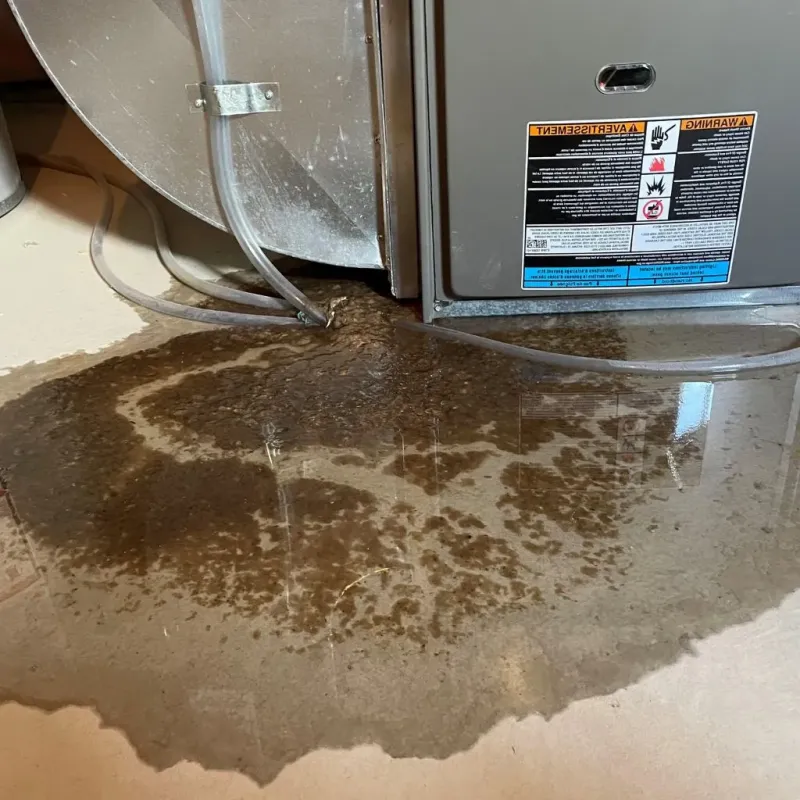 Pipe Burst and Leak Restoration in Logan, WV
