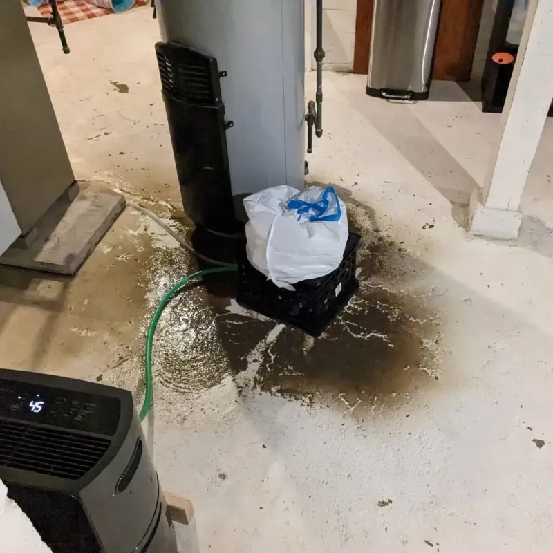 Sewage Backup Cleanup Service in Logan, WV